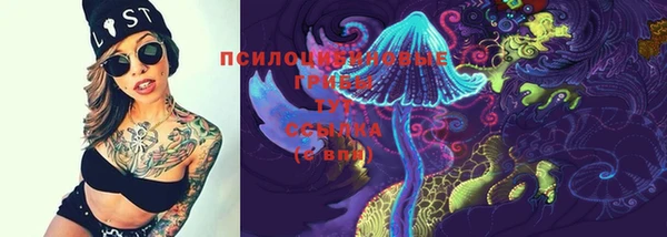 прущий лед Алексин