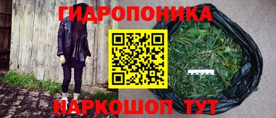 прущие грибы Обнинск