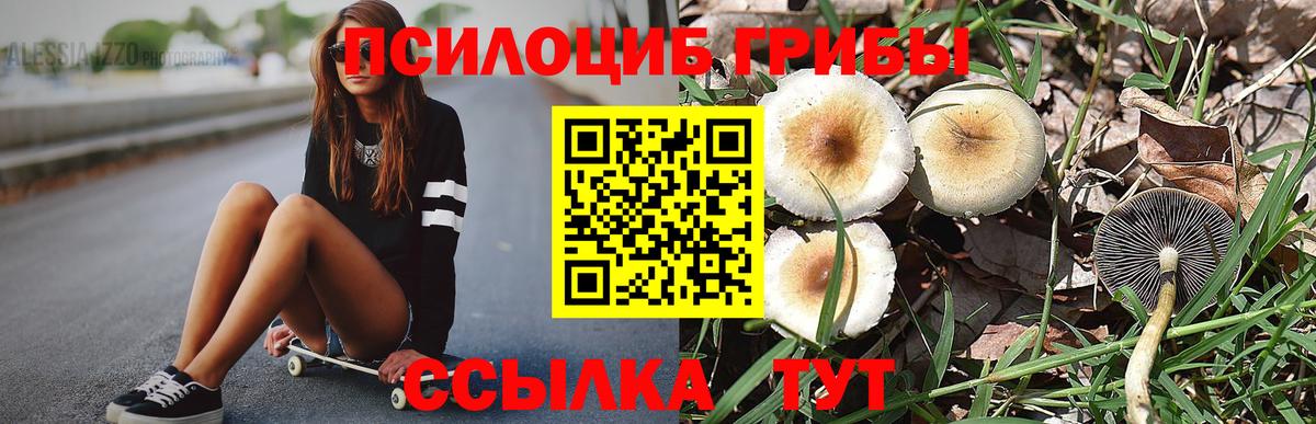 что такое наркотик  Псилоцибиновые грибы ЛСД  Вход с VPN  Майкоп 