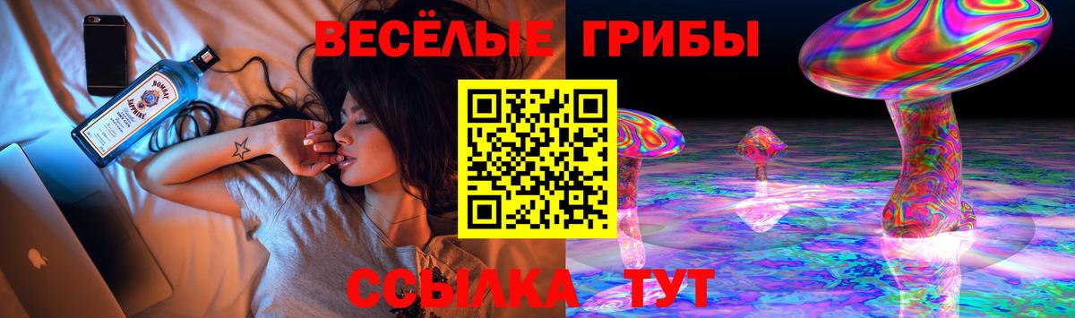 Галлюциногенные грибы Psilocybine cubensis Майкоп